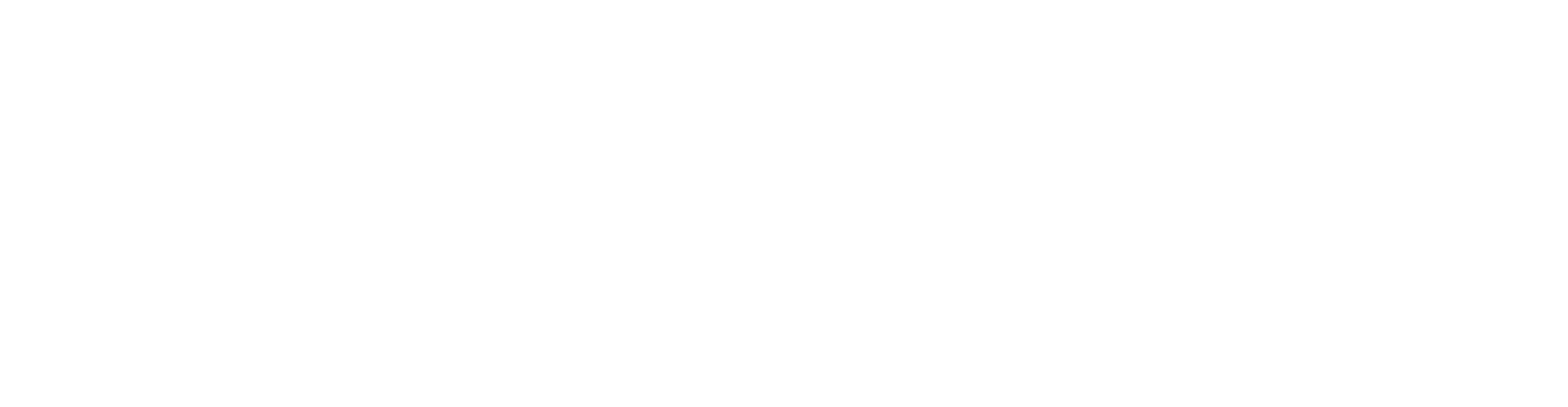 ES Financiado por la Unión Europea_WHITE